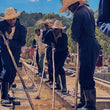 Load image into Gallery viewer, Ethiopia - Aricha Adorsi (Washed)