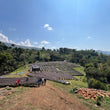 Load image into Gallery viewer, Ethiopia - Shakiso Gigesa (Natural)