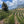Load image into Gallery viewer, Peru - Swiss Water Decaf (Washed)
