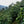 Load image into Gallery viewer, Guatemala - Alberto Pablo (Washed)

