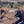 Load image into Gallery viewer, Ethiopia - Aricha Adorsi (Washed)
