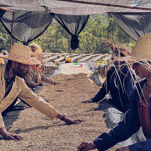 Ethiopia - Aricha Adorsi (Washed)