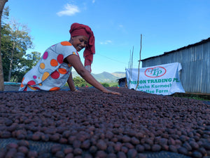 Ethiopia - Gori Gesha (Carbonic Natural)