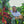 Load image into Gallery viewer, Colombia - El Eden (Banana Co-Ferment)
