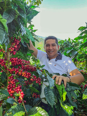 Colombia - El Eden (Banana Co-Ferment)
